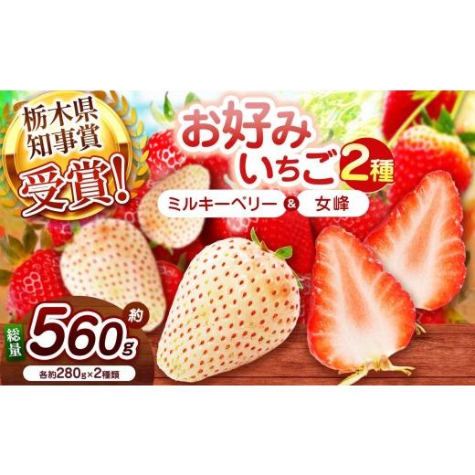 ふるさと納税 いちご 栃木県 矢板市 2027年先行予約 白いちごミルキーベリー×伝統の女峰 食べ比べセット 560g 白いちごミルキーベリー×伝統の女峰 | 11000…