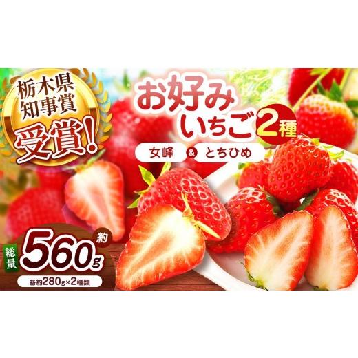 ふるさと納税 いちご 栃木県 矢板市 2027年先行予約 幻のとちひめ×伝統の女峰 食べ比べセット 560g 幻のとちひめ×伝統の女峰 | 11000円