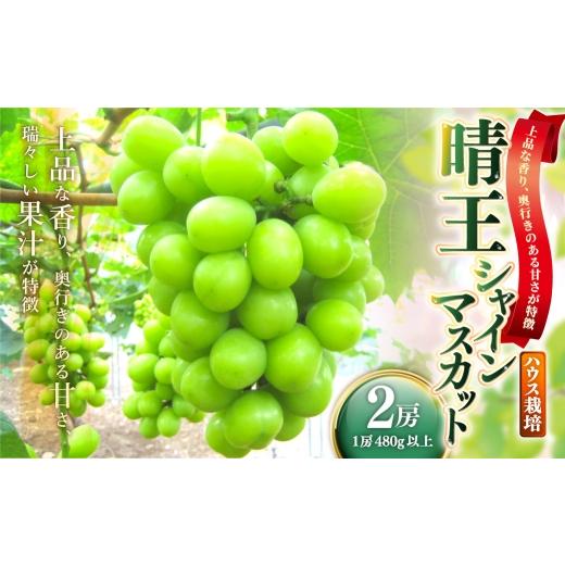 ふるさと納税 ぶどう マスカット 岡山県 美咲町 晴王 シャインマスカット 2房 ( 1房 480g以上 ) ハウス栽培 香り くだもの 果物 果実 フルーツ ぶどう 葡萄 …