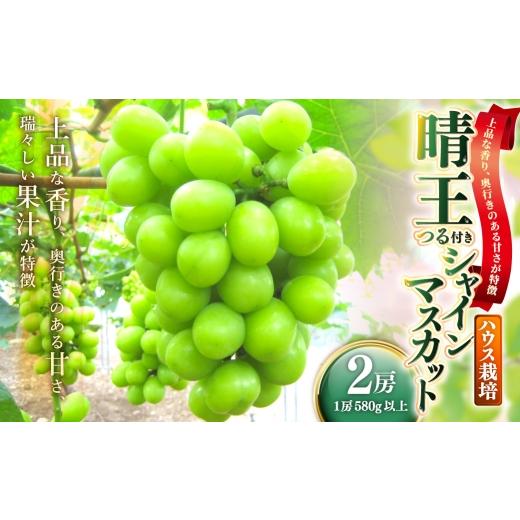 ふるさと納税 ぶどう マスカット 岡山県 美咲町 晴王 つる付きシャインマスカット 2房 ( 1房 580g以上 ) ハウス栽培 つる付き シャインマスカット 甘味 くだ…