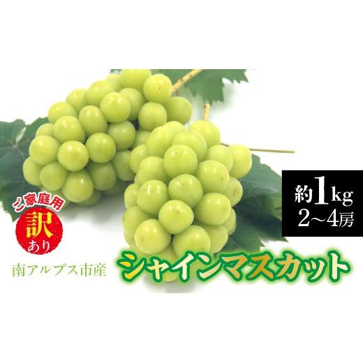 ふるさと納税 ぶどう 山梨県 南アルプス市  2026年発送先行予約 南アルプス市産　 訳あり シャインマスカット　約1.0kg（２〜4房） ALPDD028_1