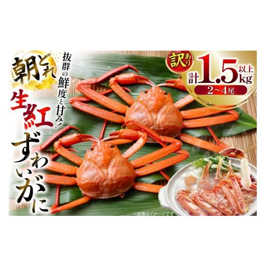 ふるさと納税 カニ ずわいガニ 石川県 志賀町 カニ 訳あり 朝どれ生紅ズワイガニ 2〜4尾 計1.5kg以上 (1尾サイズ:500g〜1kg以上) JF西海 石川県 志賀町 sk17j…