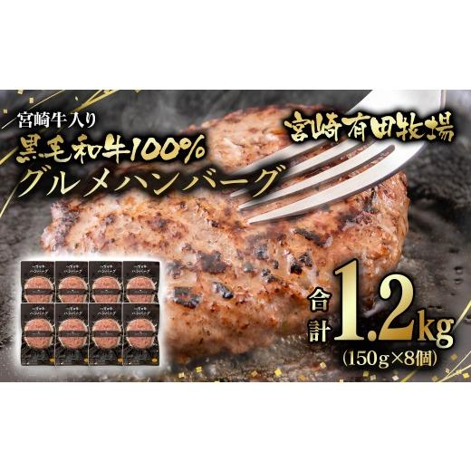 ふるさと納税 惣菜・レトルト 冷蔵 宮崎県 西都市 世界グランプリ受賞 合計1.2kg 宮崎牛入り 宮崎県産黒毛和牛100%グルメハンバーグ150g×8 テレビで紹介 牛…