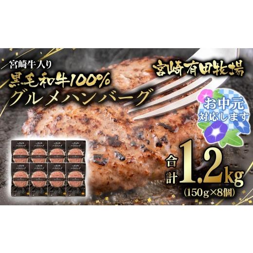 ふるさと納税 惣菜・レトルト 冷蔵 宮崎県 西都市 お中元ギフト 世界グランプリ受賞 合計1.2kg 宮崎牛入り 宮崎県産黒毛和牛100%グルメハンバーグ150g×8 テ…
