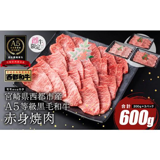 ふるさと納税 牛肉 焼肉・バーベキュー 宮崎県 西都市 雌牛限定 最高品質のA5等級 厳選の黒毛和牛 赤身焼肉 600g (200g×3)小分け 牛肉 国産 宮崎県産 西都…