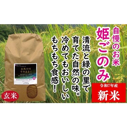 ふるさと納税 玄米 岡山県 和気町 米 おいしい 姫ごのみ 玄米 10kg 7年産