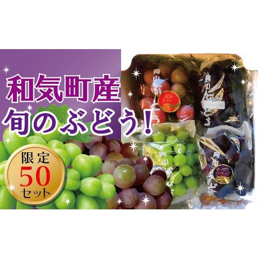 ふるさと納税 果物類 ぶどう 岡山県 和気町 2026年発送 シャインマスカット &amp; 旬のぶどう セット フルーツ 果物 | 2.0kg | 送料無料 産地直送