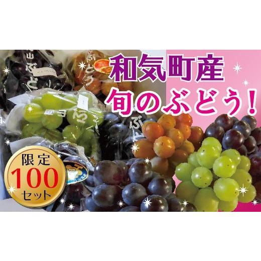 ふるさと納税 果物類 ぶどう 岡山県 和気町 2026年発送 ニューピオーネ &amp; 旬のぶどう フルーツ 果物 | 2.0kg | 送料無料 産地直送