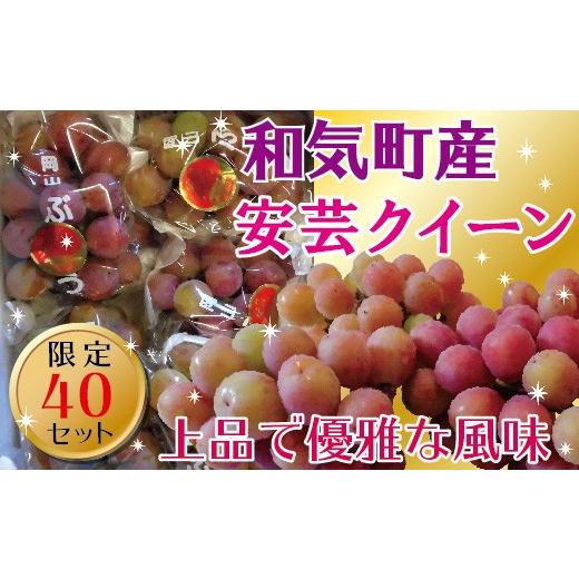 ふるさと納税 果物類 ぶどう 岡山県 和気町 2026年発送 安芸クイーン ぶどう フルーツ 果物 | 2.0kg 4〜5房 | 送料無料 産地直送