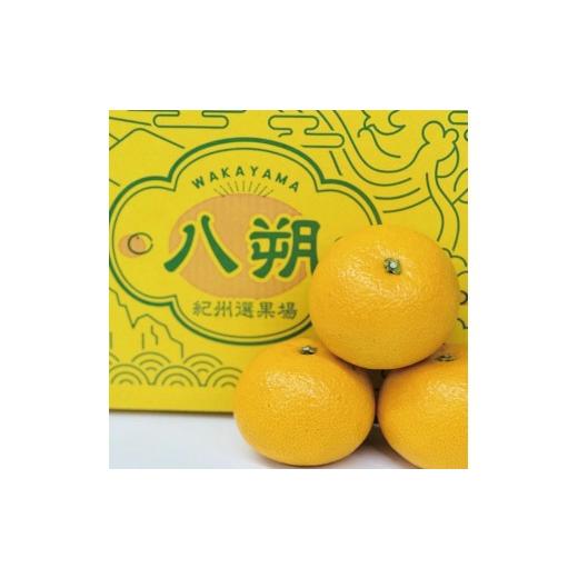 ふるさと納税 みかん・柑橘類 和歌山県 由良町 さつき八朔10kg / はっさく ハッサク 由良町 柑橘 和歌山 2027年4月上旬頃〜4月中旬頃に順次発送予定 jahd022-…
