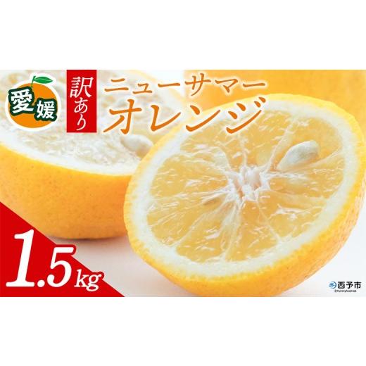 ふるさと納税 果物類 みかん 愛媛県 西予市 先行予約 訳あり 愛媛県産 ニューサマーオレンジ 合計約1.5kg 『2027年4月〜5月に順次出荷予定』日向夏 小夏 ご家…