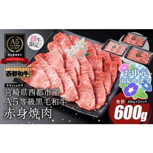 ふるさと納税 牛肉 焼肉・バーベキュー 宮崎県 西都市 お中元ギフト 雌牛限定 最高品質のA5等級 厳選の黒毛和牛 赤身焼肉 600g (200g×3)小分け 牛肉 国産 …
