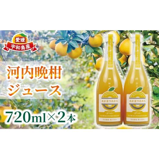 ふるさと納税 果汁飲料 みかん 愛媛県 宇和島市 河内晩柑 ジュース 720ml × 2本 セット あかまつみかん ストレートジュース 愛媛 の 柑橘ジュース みかんジュ…