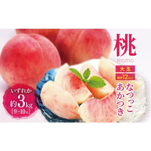 ふるさと納税 もも 長野県 松本市 先行受付 信州産桃 旬の桃(なつっこorあかつき)大玉 3kg(9〜10玉) | ふるさと納税 松本市 もも 桃 なつっこ あかつき …