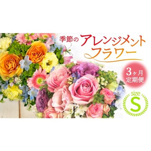 ふるさと納税 雑貨・日用品 花 茨城県 城里町 3ヶ月 定期便 季節 の アレンジメント S 花 お花 季節の花 生花 記念日 誕生日 自宅用 インテリア 部屋飾り 装…