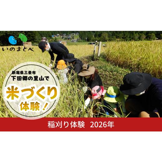 ふるさと納税 イベントやチケット等 新潟県 三条市 稲刈り体験 2026年 新潟県三条市 下田郷の里山で米づくり体験 農業体験 親子 ファミリー 食育 自然 アウト…