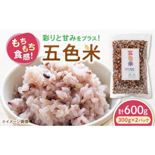 ふるさと納税 雑穀 滋賀県 長浜市 五色米 600g(300g×2) 滋賀県長浜市/草野農場