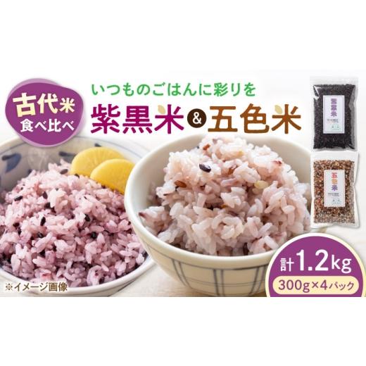 ふるさと納税 雑穀 滋賀県 長浜市 五色米&紫黒米 古代米食べ比べセット(各2セット) 滋賀県長浜市/草野農場