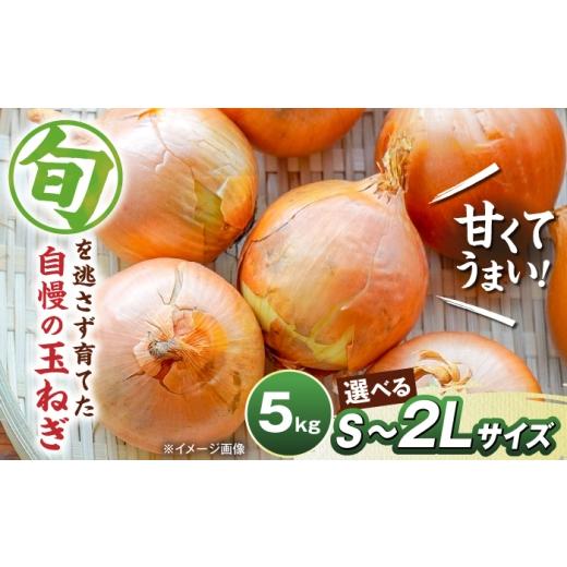 ふるさと納税 野菜類 玉ねぎ 滋賀県 長浜市 玉ねぎ5kg(2Lサイズ) 滋賀県長浜市/柏本農園株式会社 AQDZ008 2Lサイズ