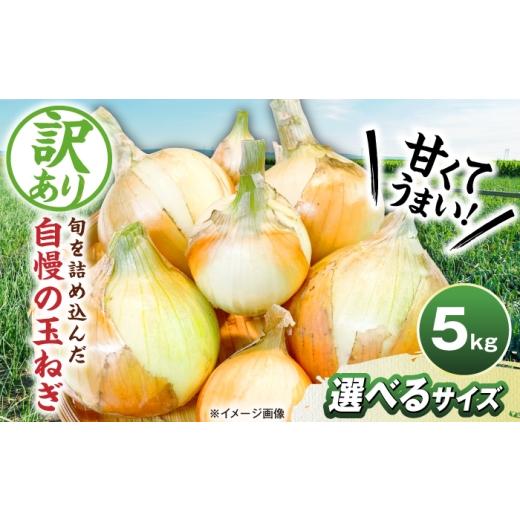 ふるさと納税 野菜類 玉ねぎ 滋賀県 長浜市 訳あり 玉ねぎ5kg(SS・Sサイズミックス) 滋賀県長浜市/柏本農園株式会社 AQDZ001 SS・Sサイズミックス