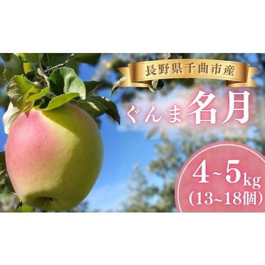 ふるさと納税 ぶどう マスカット 長野県 千曲市 ぐんま名月 優品 1段: 約4kg~約5kg (13個~18個) 半蔵農園 | りんご 林檎 リンゴ 信州りんご 長野県 千曲市 約4…