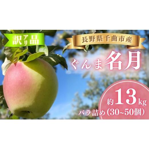 ふるさと納税 りんご 長野県 千曲市 ぐんま名月 お楽しみ用 わけあり品 バラ詰め 約13kg (30個~50個) 半蔵農園 | ぐんま 名月 りんご 林檎 リンゴ 信州りんご …