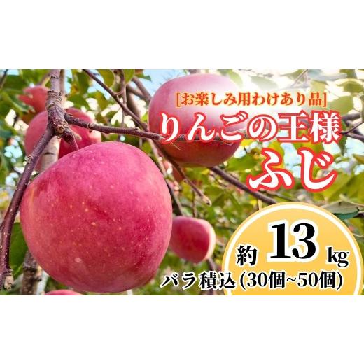 ふるさと納税 りんご 長野県 千曲市 ふじ お楽しみ用 わけあり品 バラ詰め 約13kg (30個~50個) 半蔵農園 | りんご 林檎 リンゴ 信州りんご 長野県 千曲市