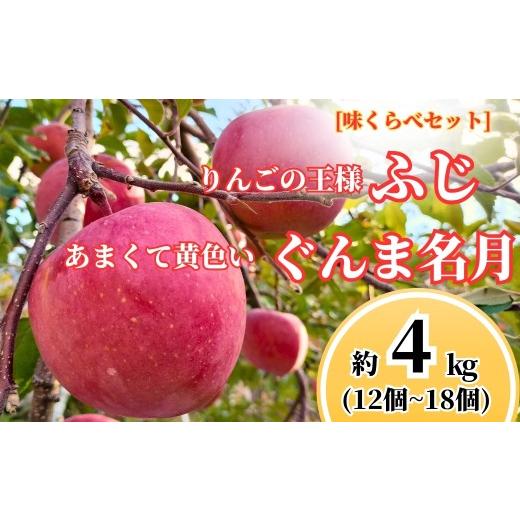 ふるさと納税 りんご 長野県 千曲市 ぐんま名月 × ふじ 味くらべセット 約4kg (12個~18個) 半蔵農園 | りんご 林檎 リンゴ 信州りんご 長野県 千曲市