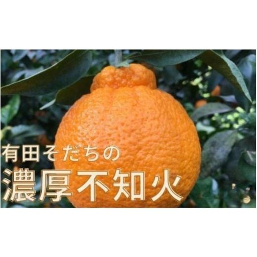ふるさと納税 みかん・柑橘類 デコポン 和歌山県 すさみ町 先行予約 有田育ちの濃厚 不知火 ( デコポン と同品種)( 訳あり 家庭用 ) 1kg+200g(痛み補償分) 北…