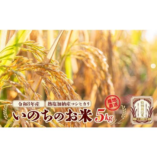 ふるさと納税 米 コシヒカリ 福島県 喜多方市 先行予約 令和8年産 コシヒカリ いのちのお米 5kg(令和8年11月中旬以降順次発送) 熱塩加納産 雪蔵銀ぴか…