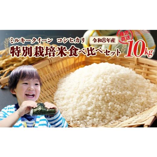 ふるさと納税 米 ミルキークイーン 福島県 喜多方市 先行予約 令和8年産 特別栽培米食べ比べセット10kg(ミルキークイーン5kg・コシヒカリ5kg)(令和8年10…
