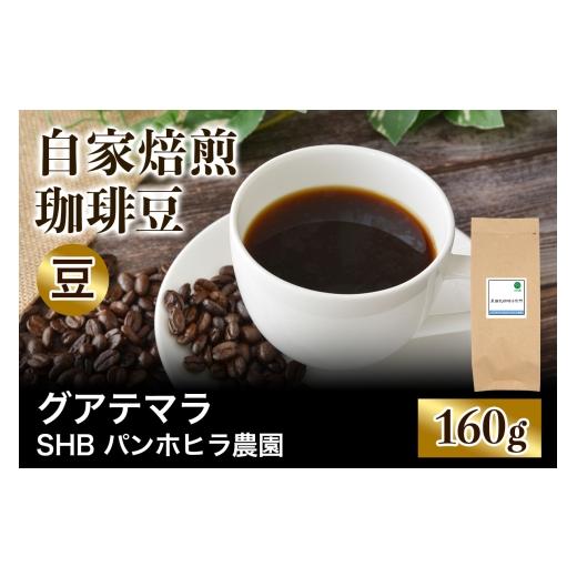 ふるさと納税 コーヒー コーヒー豆 大阪府 交野市 注文後に焙煎 自家焙煎珈琲豆 グアテマラ SHB ソロラ アティトゥラン パンホヒラ農園 中深煎り 160g 豆のま…