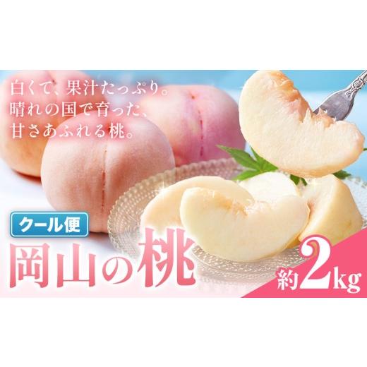 ふるさと納税 もも 岡山県 笠岡市 桃 岡山の桃 約2kg[6月下旬-9月上旬頃発送]岡山県 笠岡市 白桃 岡山 はくとう スイーツ フルーツ 果物 デザート 旬 モモ …