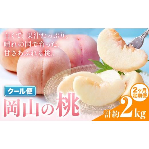 ふるさと納税 もも 岡山県 笠岡市 2ヶ月定期便 桃 岡山の桃 約1kg(3〜5玉)×2回発送[7月上旬-8月末頃発送]岡山県 笠岡市 白桃 岡山 はくとう スイーツ フル…