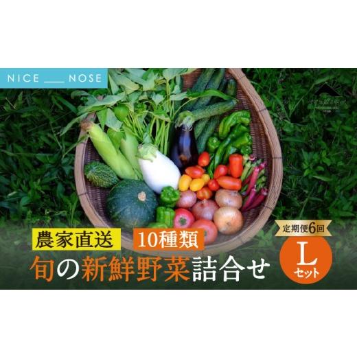 ふるさと納税 野菜類 大阪府 能勢町 定期便 6回 大阪能勢産 [農家直送] べじたぶるぱーくの旬の新鮮野菜詰合せ Lセット (10種類) | 6回(隔月) 定期便 6ヶ月…