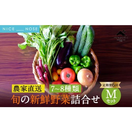 ふるさと納税 野菜類 大阪府 能勢町 定期便 6回 大阪能勢産 [農家直送] べじたぶるぱーくの旬の新鮮野菜詰合せ Mセット (7〜8種類) | 6回(隔月) 定期便 6ヶ…