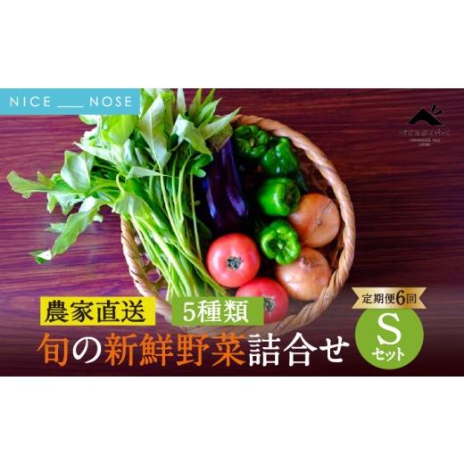 ふるさと納税 野菜類 大阪府 能勢町 定期便 6回 大阪能勢産 [農家直送] べじたぶるぱーくの旬の新鮮野菜詰合せ Sセット (5種類) | 6回(隔月) 定期便 6ヶ月 …