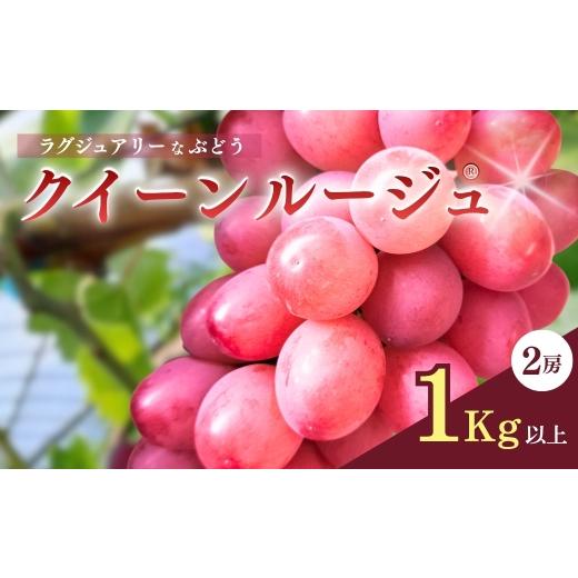 ふるさと納税 ぶどう マスカット 長野県 千曲市 ラグジュアリーなブドウ クイーンルージュ? 2房1kg以上 半蔵農園 | 果物 フルーツ 赤ぶどう 葡萄 ブドウ 種無…