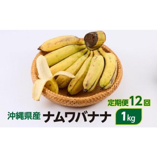 ふるさと納税 果物類 沖縄県 南城市 ナムワバナナ 1kg 定期便12回 1kg/定期便12回