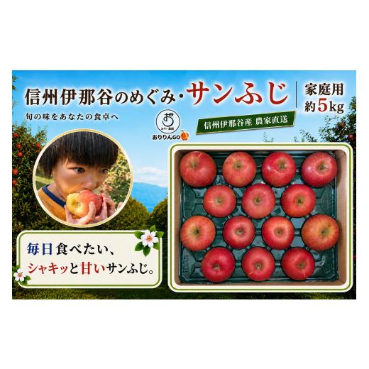 ふるさと納税 りんご 長野県 伊那市 りんご サンふじ 数量限定 信州伊那谷産 農家直送 サンふじ 家庭用 りんご 約5kg おりい農園(おりりんご)| りんご 林檎…