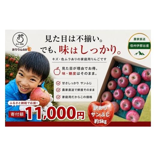 ふるさと納税 りんご 長野県 伊那市 りんご サンふじ 訳あり 信州伊那谷産 農家直送 サンふじ 家庭用 りんご 約5kg おりい農園(おりりんご)| りんご 林檎 …