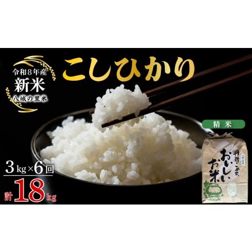 ふるさと納税 米 コシヒカリ 山口県 下関市 令和8年産先行予約 定期便 6ヶ月 こしひかり 精米 3kg 計18kg 定期便 6ヶ月 精米 3kg