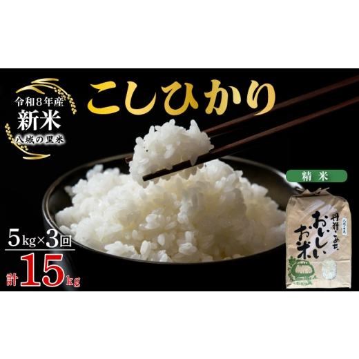 ふるさと納税 米 コシヒカリ 山口県 下関市 令和8年産先行予約 定期便 3ヶ月 こしひかり 精米 5kg 計15kg 定期便 3ヶ月 精米 5kg