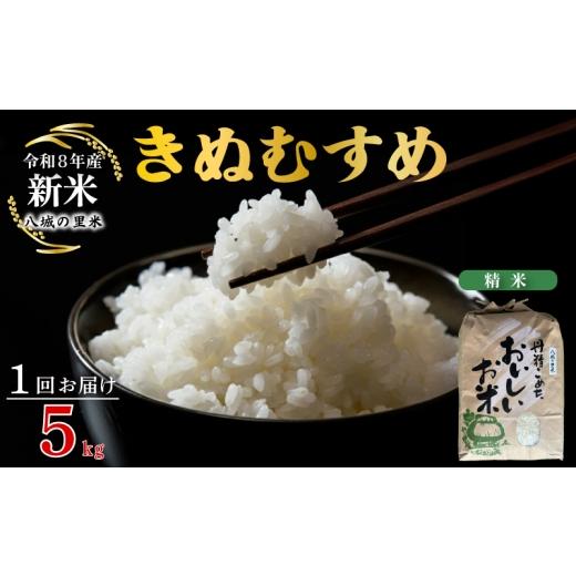 ふるさと納税 米 きぬむすめ 山口県 下関市 令和8年産先行予約 1回お届け きぬむすめ 精米 5kg 1回お届け 精米 5kg