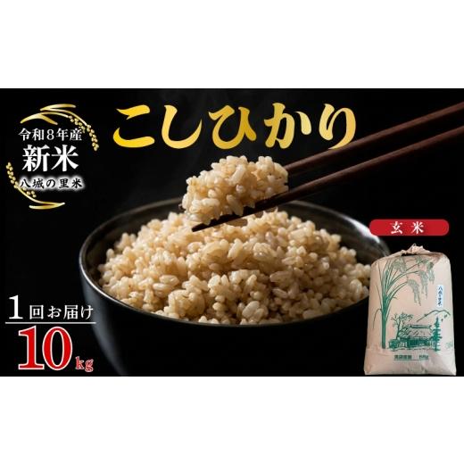 ふるさと納税 米 コシヒカリ 山口県 下関市 令和8年産先行予約 1回お届け こしひかり 玄米 10kg 1回お届け 玄米 10kg