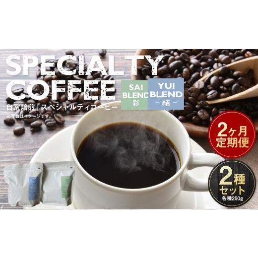 ふるさと納税 コーヒー コーヒー豆 茨城県 守谷市 定期便2ヶ月 自家焙煎スペシャルティコーヒー豆 250g×2種 | コーヒー豆 自家焙煎スペシャルティコーヒー …