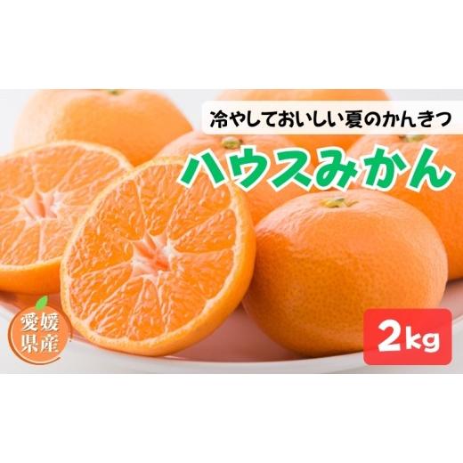 ふるさと納税 果物類 みかん 愛媛県 伊予市 ハウスみかん ご家庭用 2kg 7月下旬から順次発送予定 みかん 人気 数量限定 柑橘 愛媛 伊予市|B547 2kg