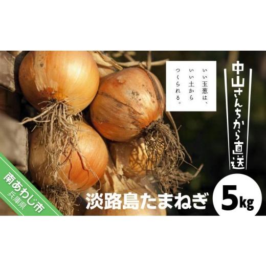 ふるさと納税 野菜類 玉ねぎ 兵庫県 南あわじ市 完熟玉ねぎ予約 中山さんちから直送 淡路島たまねぎ5kg R8.6月下旬〜発送