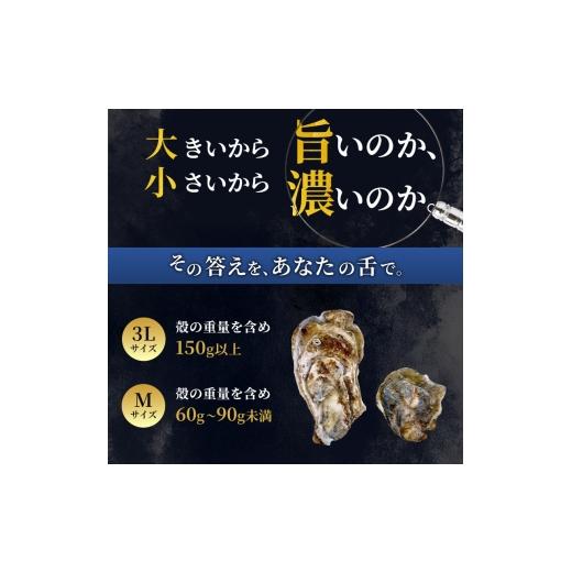 ふるさと納税 牡蠣 生牡蠣 北海道 厚岸町 厚岸産 ブランド 殻付カキ マルえもん 生食用 サイズ食べ比べ 24個 (3L・M各12個) 魚貝類 生牡蠣 かき 牡蠣 カキ 生…_2