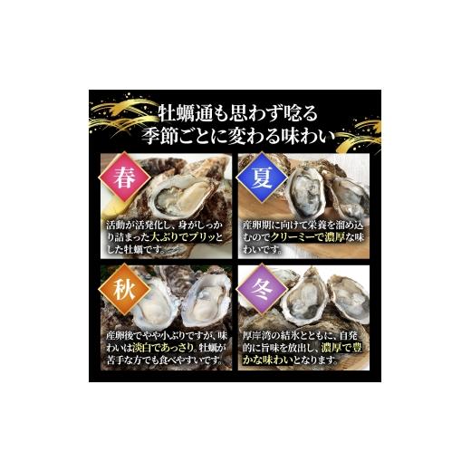 ふるさと納税 牡蠣 生牡蠣 北海道 厚岸町 厚岸産 ブランド 殻付カキ マルえもん 生食用 サイズ食べ比べ 24個 (3L・M各12個) 魚貝類 生牡蠣 かき 牡蠣 カキ 生…_5